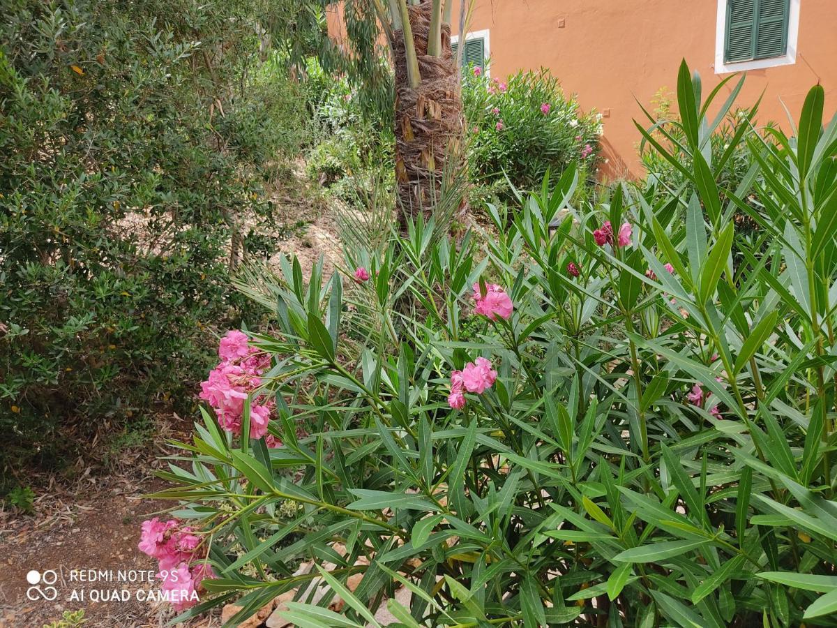 Appartement Cala Galdana